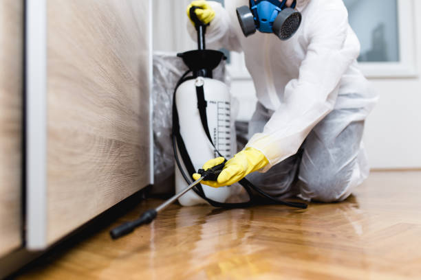 Best Pest Control Near Me in Lakewood, OH