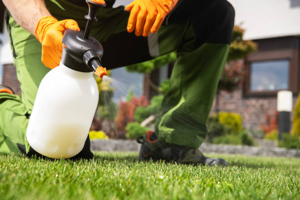 Best Pest Prevention Services  in Lakewood, OH