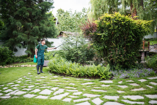 Best Affordable Pest Control Services  in Lakewood, OH