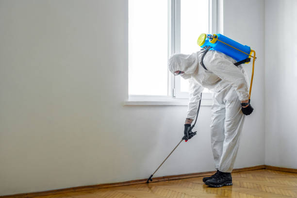 Best Pest Control for Businesses  in Lakewood, OH