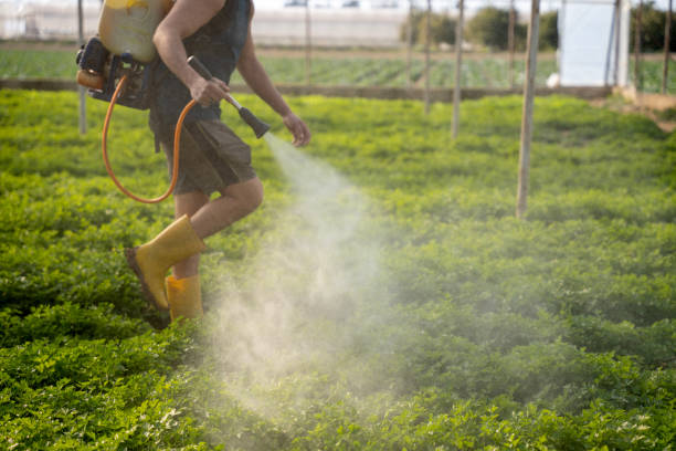 Best Pest Removal Services  in Lakewood, OH