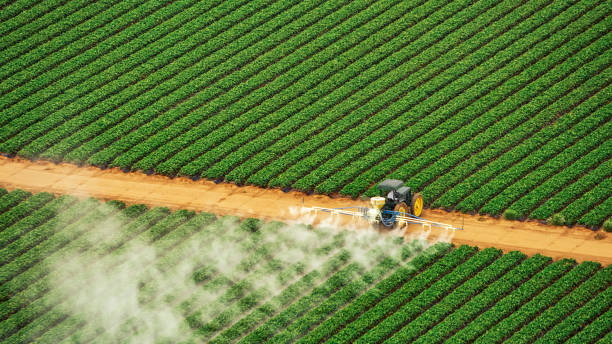 Reliable Lakewood, OH Pest Control Solutions