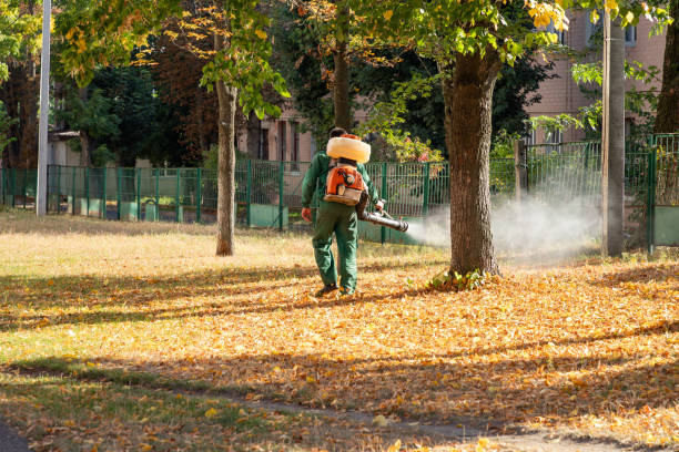 Best Local Pest Control Services  in Lakewood, OH