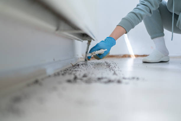 Best Best Pest Control Near Me  in Lakewood, OH